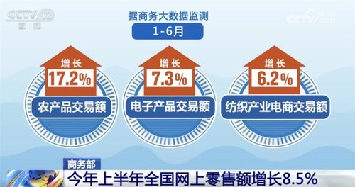 透過(guò)數(shù)據(jù)看上半年全國(guó)網(wǎng)上零售 成績(jī)單 產(chǎn)業(yè)電商激發(fā)轉(zhuǎn)型新潛力